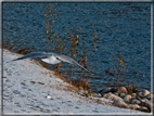 foto Lungo il Fiume Brenta